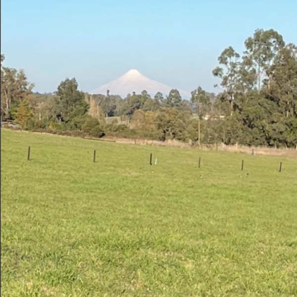 Parcelas Sector Las Quemas, Osorno R. de la Araucanía