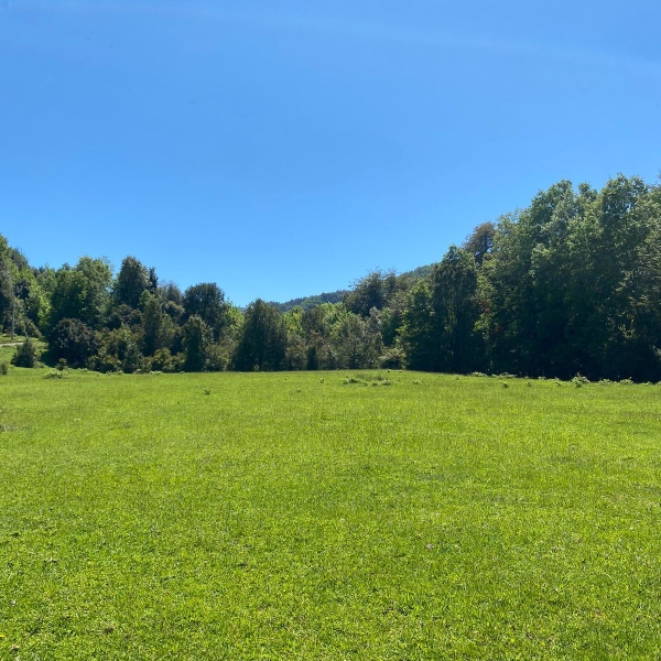 Parcelas Chesque Alto, Villarrica, , R.de la Araucanía