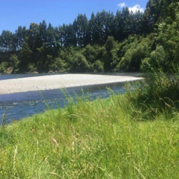 Parcelas Sector Las Quemas, Osorno R. de la Araucanía