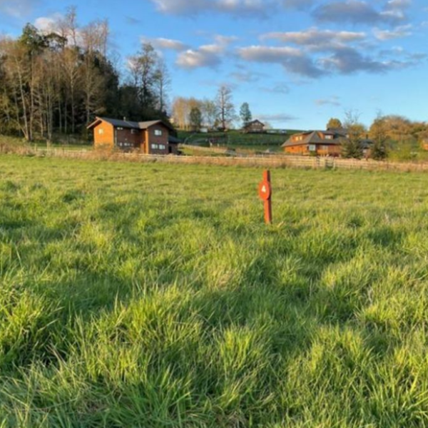 Parcelas Sector Las Quemas, Osorno R. de la Araucanía