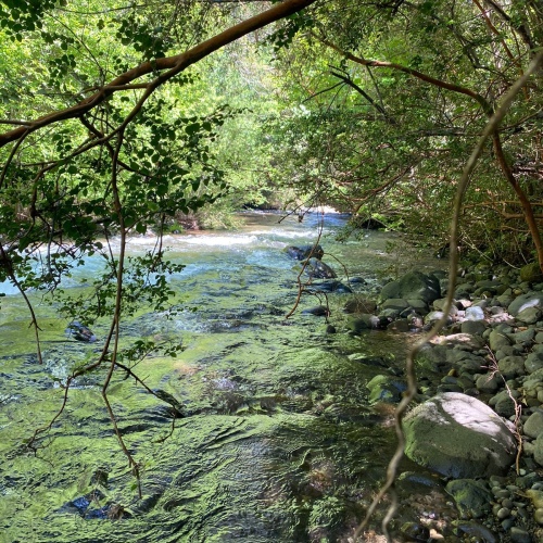 Parcelas Chesque Alto, Villarrica, , R.de la Araucanía