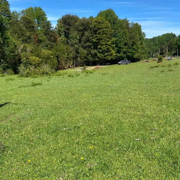 Parcelas Chesque Alto, Villarrica, , R.de la Araucanía